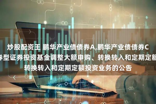 炒股配资王 鹏华产业债债券A,鹏华产业债债券C: 鹏华产业债债券型证券投资基金调整大额申购、转换转入和定期定额投资业务的公告