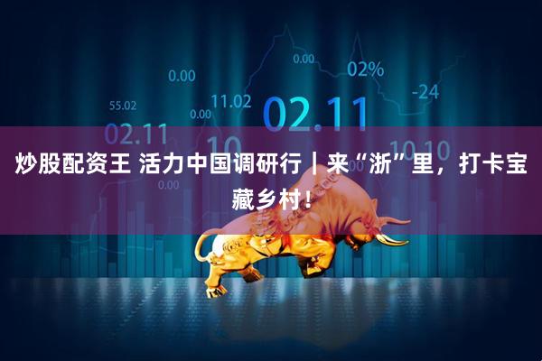 炒股配资王 活力中国调研行｜来“浙”里，打卡宝藏乡村！