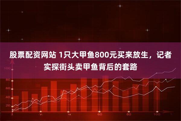 股票配资网站 1只大甲鱼800元买来放生，记者实探街头卖甲鱼背后的套路